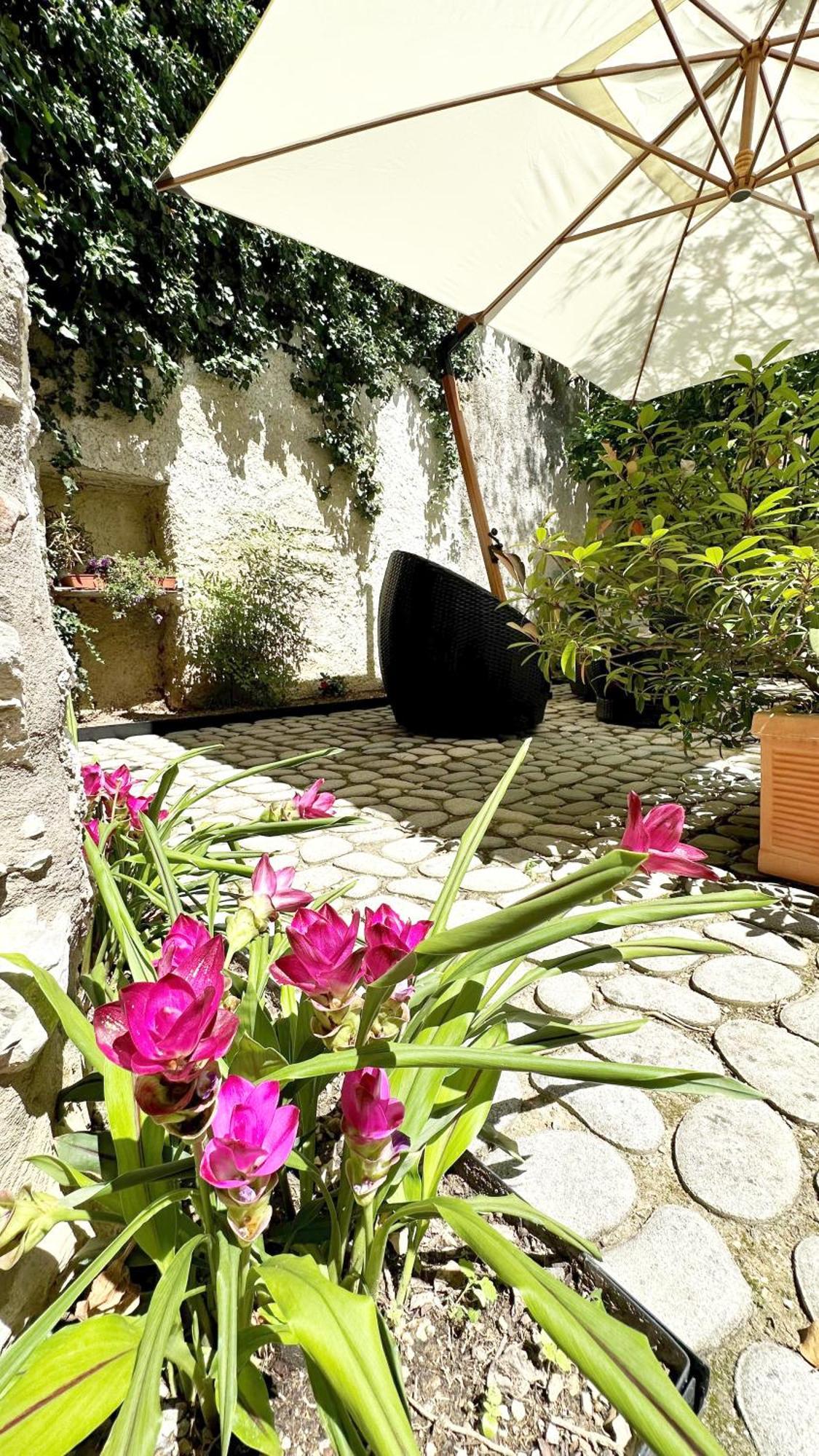 Apartamento Borgo Dei Sogni San Felice del Benaco Exterior foto